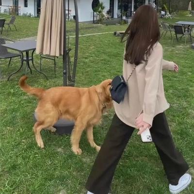 弊家伙挞错咗